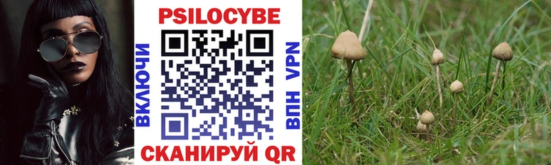 Галлюциногенные грибы MAGIC MUSHROOMS  Купить закладки  Рошаль 